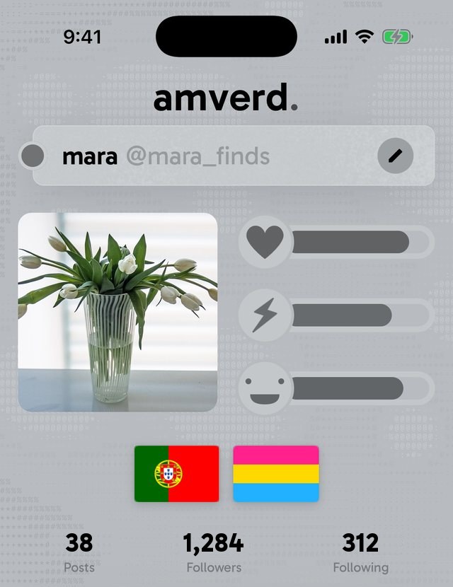 mara's profile: a photo, mood gauges and her flags